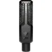 Lewitt RAY Large-Diaphragm Condenser Microphone