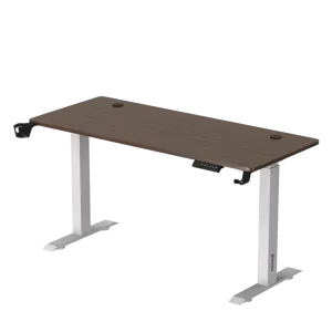Gaming Desk