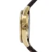 Casio LTP-V005GL-9AUDF Ladies Leather Belt Watch