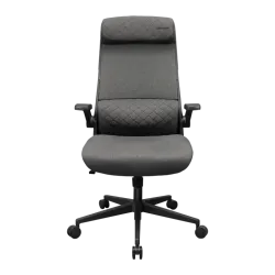 Cougar Stryder Gaming Chair Grey