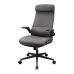 Cougar Stryder Gaming Chair Grey