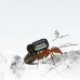 BOYA mini 2-04 Wireless Microphone (TX-2, RX-1)