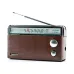 Panasonic RF-562DD2 Portable Radio with Carrying Case