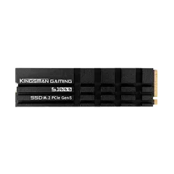 AITC KINGSMAN S1000 1TB M.2 2280 PCIe Gen5x4 NVMe 2.0 SSD With DRAM & Heatshink