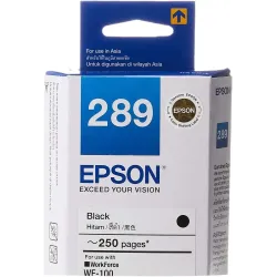 Epson T289 Black Ink Bottle