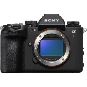 Mirrorless Camera
