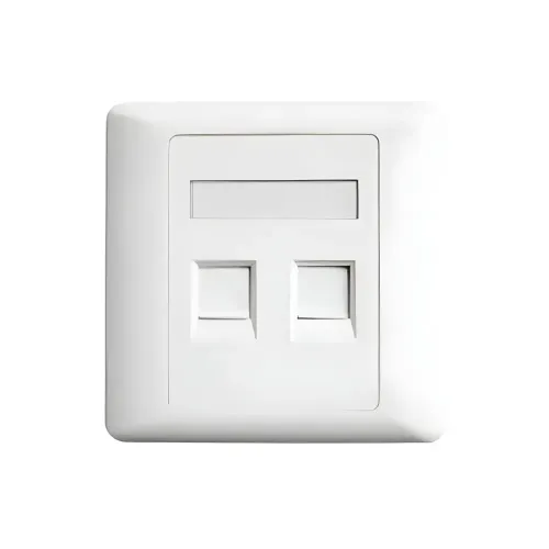 Belden AX104442 Dual Port Faceplate Belden AX104442 Dual Port Faceplate