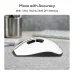 Asus MD105 Ergonomic Wireless Mouse Asus MD105 Ergonomic Wireless Mouse