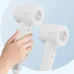 BeautySheCare AeroGlow High Speed Hair Dryer